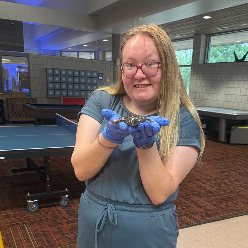female student holding a dissected frog