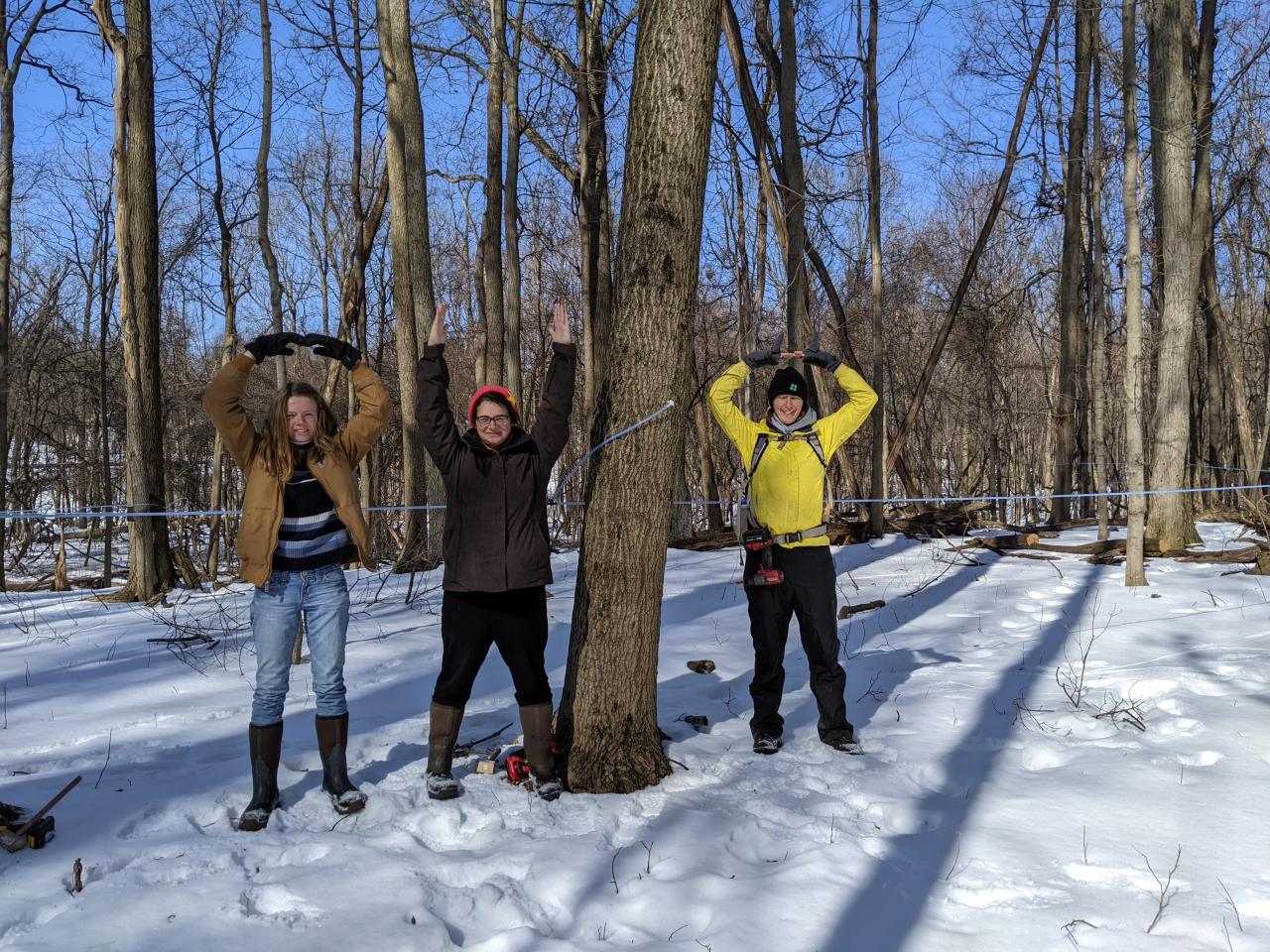 Students and OSU Extension specialists form the O’s and H while a maple tree forms the I to spell out ‘Ohio’