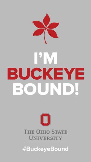 Buckeye Bound logo for use with instagram