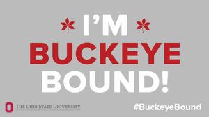 Buckeye Bound logo for use with twitter