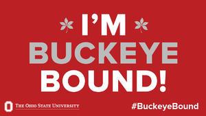 Buckeye Bound logo for use with twitter