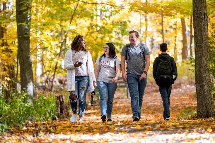 four students walking.  three walking toward the camera and one walking away.  all are on a path in a wooded area.