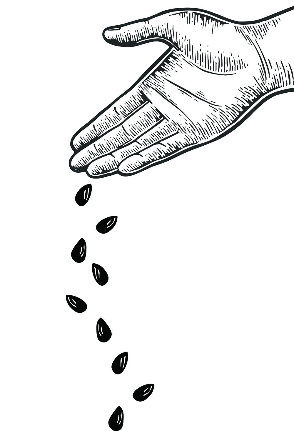 hand dropping seed graphic