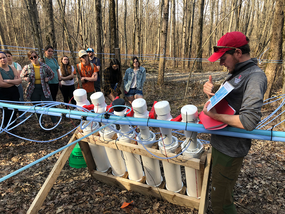 a group of people looking at a maple syrup collection system 