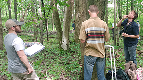 Senior Forestry students examine a maple tree in the forest