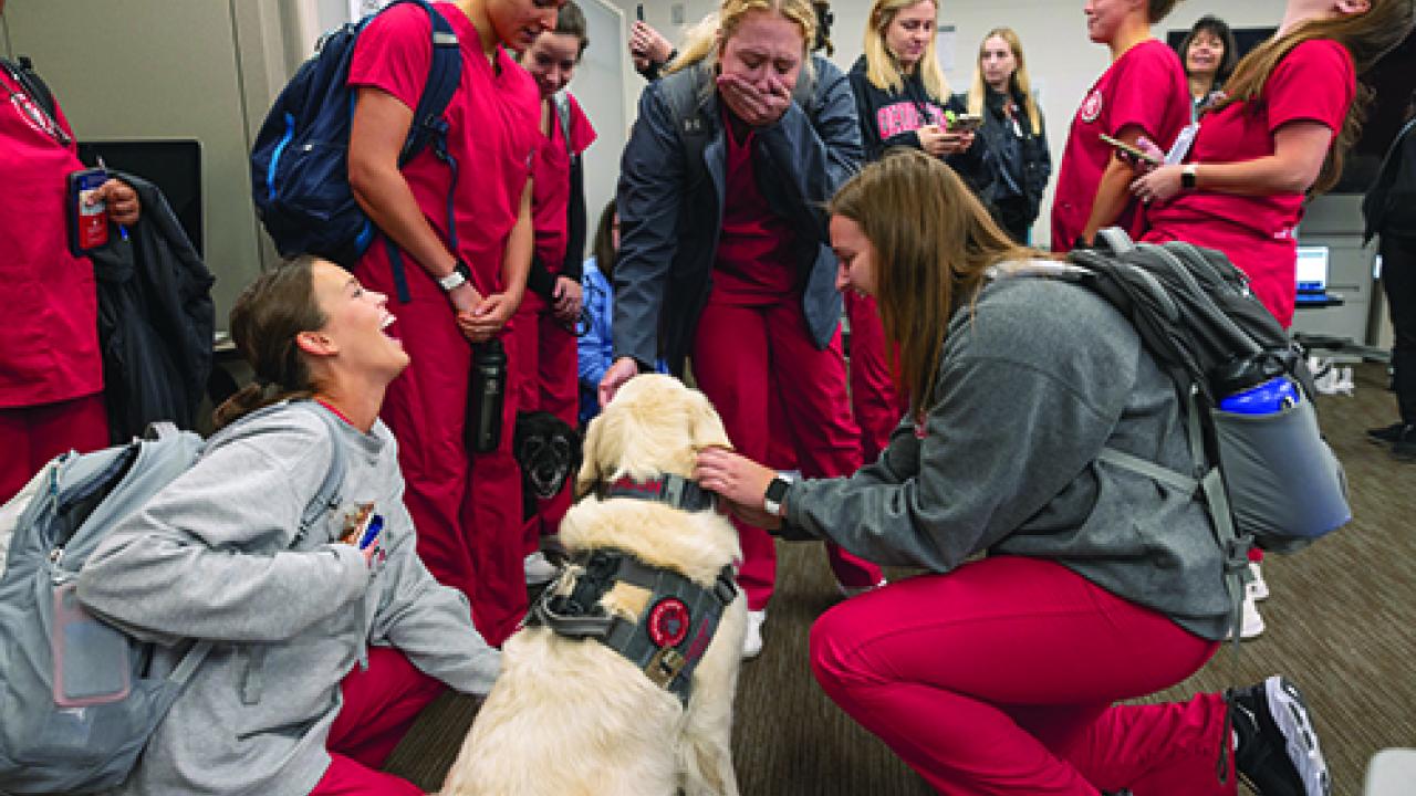 students gathered around service dogs