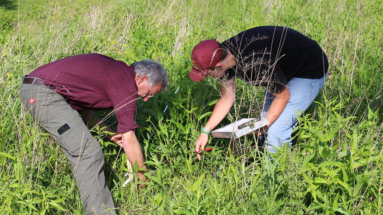 Ohio State Mansfield Student and Community Partner collecting vegetation data in the First Energy Pollinator Plots