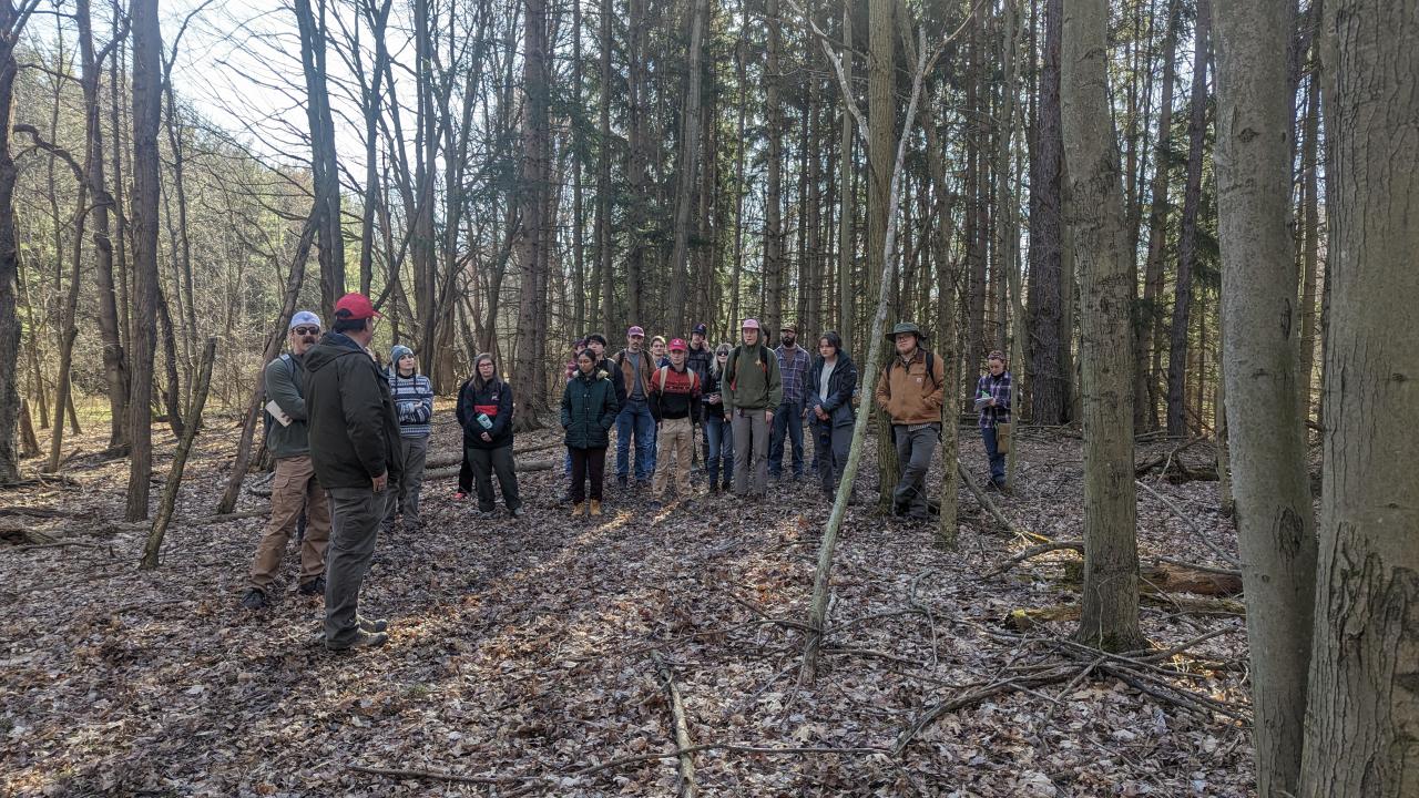 photo of a group of people walking through an autumn forest