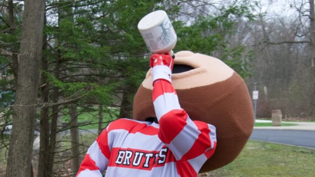 The Ohio State University mascot Brutus drinks from a half-gallon container of maple syrup.