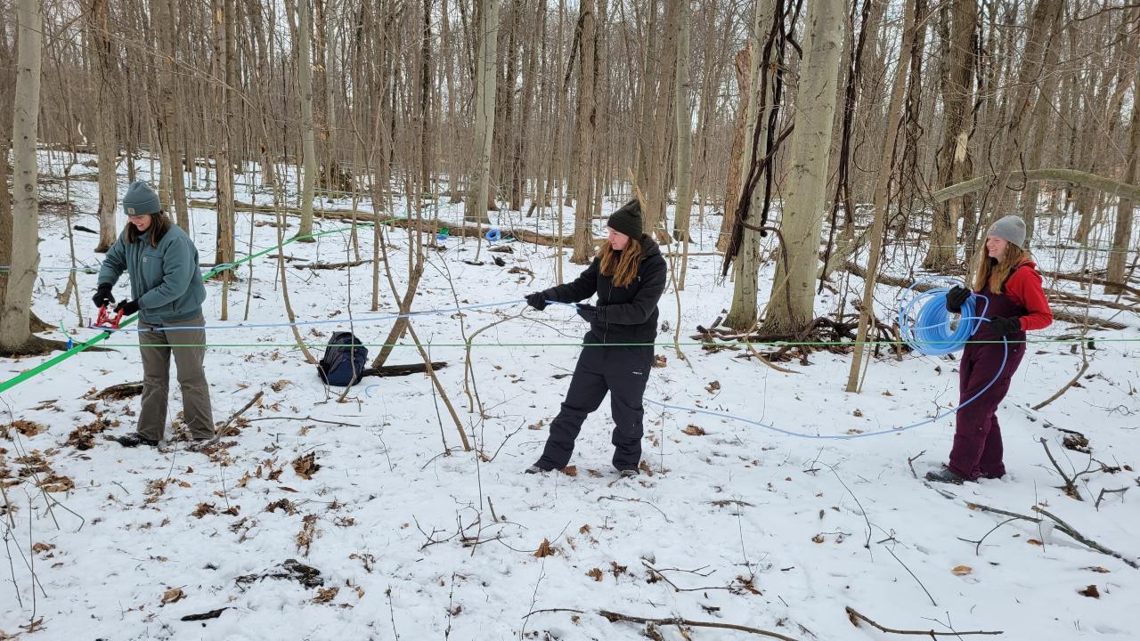A group of workers install a 5/16” tubing line in a maple sugarbush.