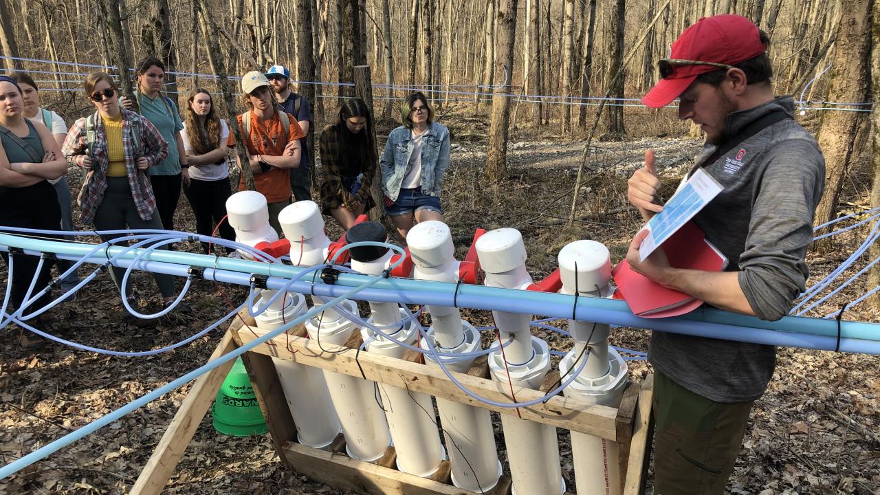 A PVC-chamber holds a maple tree’s sap produced within a 24-hour period