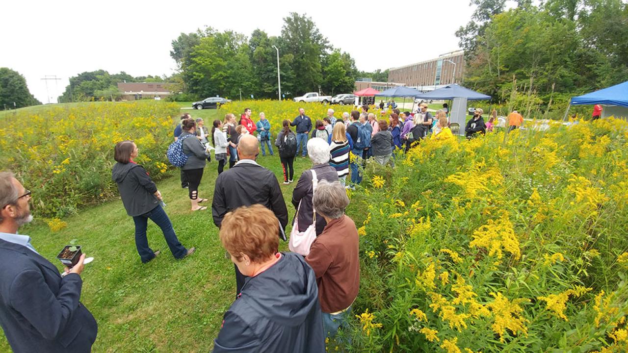A large crowd of people interact with a campus pollinator habitat area.